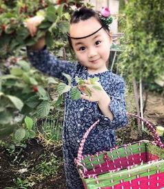 小山竹什么背景,从乡村少年到城市精英的蜕变之路